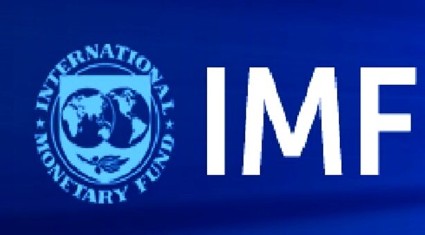 IMF starts distributing largest ever $650 billion allocation