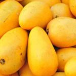 Bangladesh launches first ever mango export drive to China