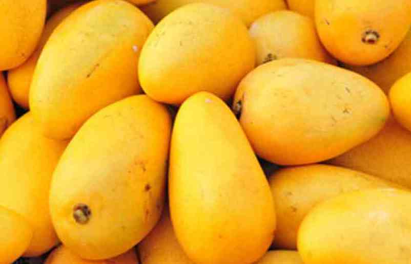 Ministry probes Indian expired mango pulp entry