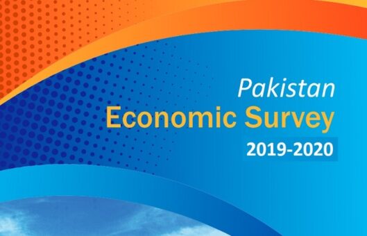 Economic Survey: GDP growth projected at negative 0.38 percent