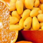 mango exports