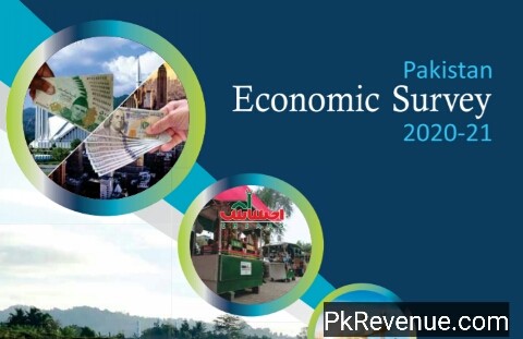Economic Survey 2020/21: fiscal stimulus package results in quick turnaround in economic activity