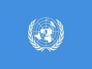 UN Tax Committee