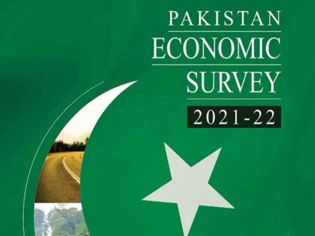 Pakistan achieves 5.97% GDP growth in 2021/2022: Economic Survey