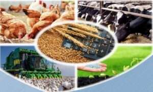 Agriculture Food