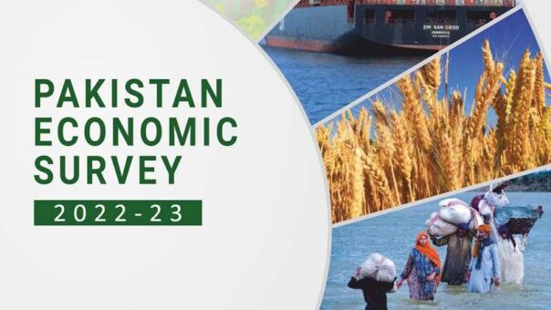 Pakistan Economic Survey 2022-23: Only 0.29% GDP Growth Achieved