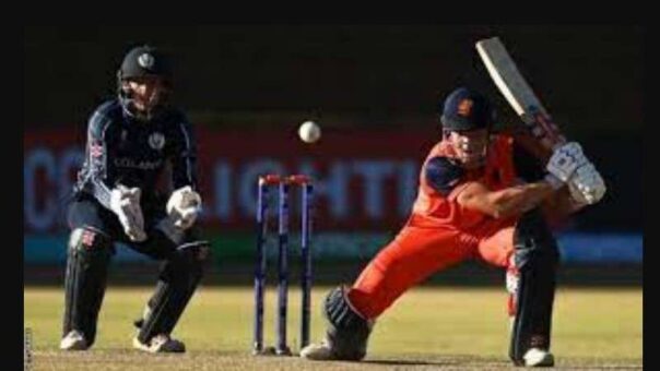 England Dominate Netherlands with 340-Run Target at CWC23