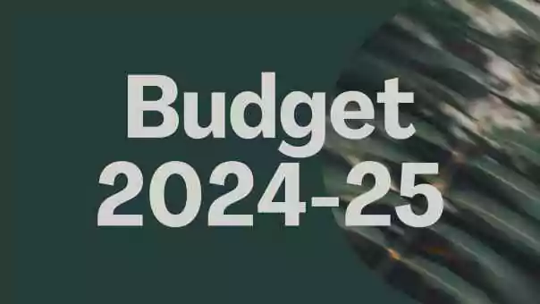 Pakistan President Approves Tax-Heavy 2024-25 Budget